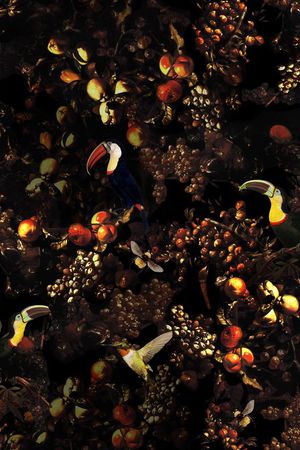 植物印花华亿平台图片