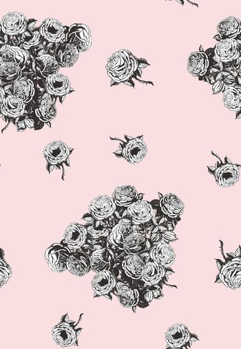 630242-黑白玫瑰花