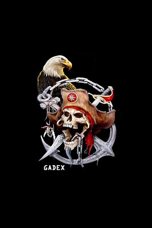 海盗骷髅印花华亿平台图片