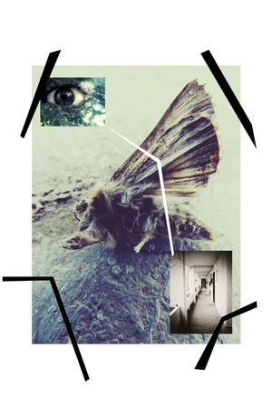 男装华亿平台印花华亿平台图片