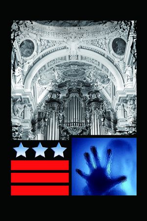 大牌印花华亿平台图片