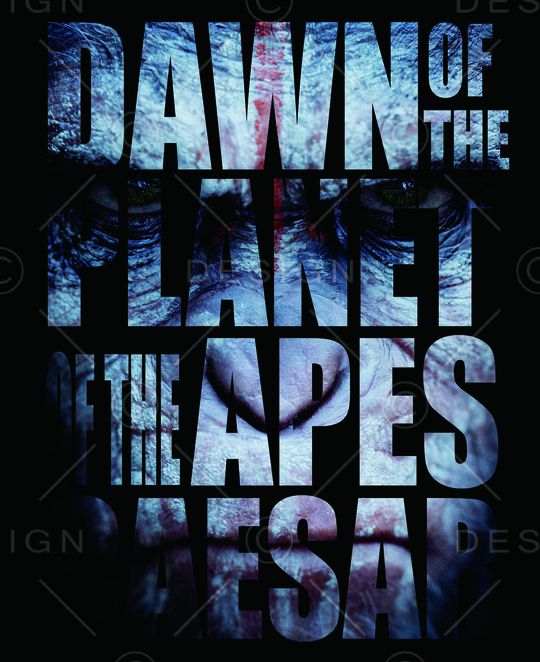 大牌印花华亿平台图片