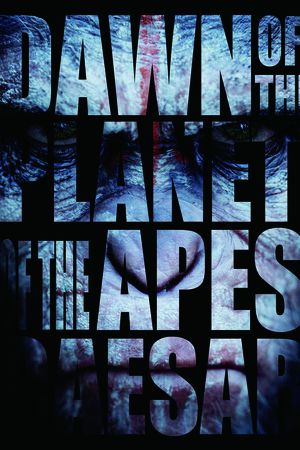 大牌印花华亿平台图片