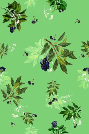 热带印花华亿平台图片