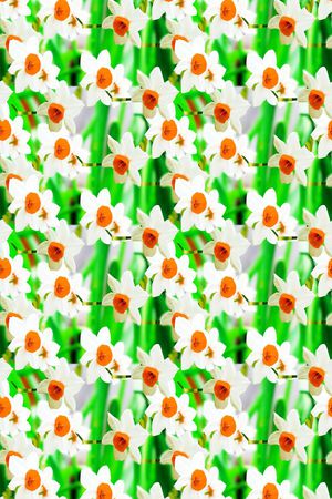 淡雅自然风印花华亿平台图片