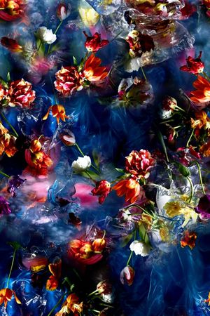 写实花卉植物印花华亿平台图片