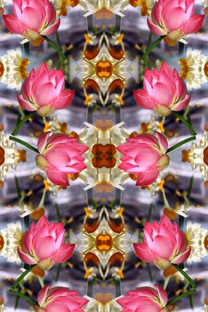 荷花印花华亿平台图片