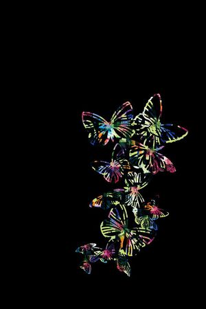 蝴蝶印花华亿平台图片