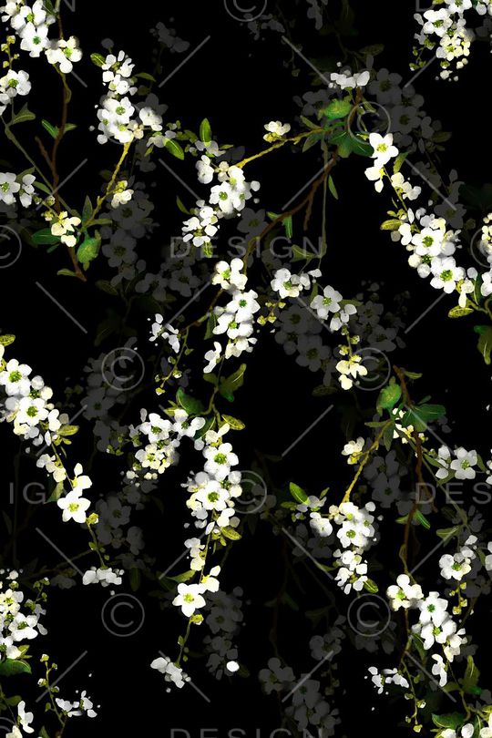 黑底印花华亿平台图片