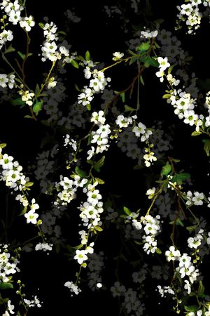 黑底印花华亿平台图片