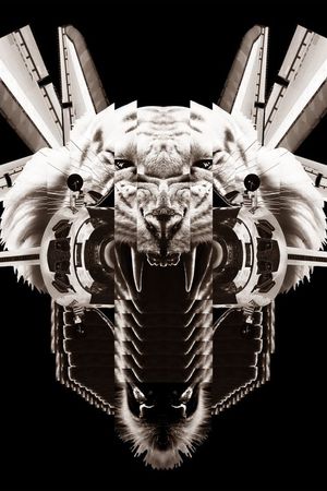 动物印花华亿平台图片