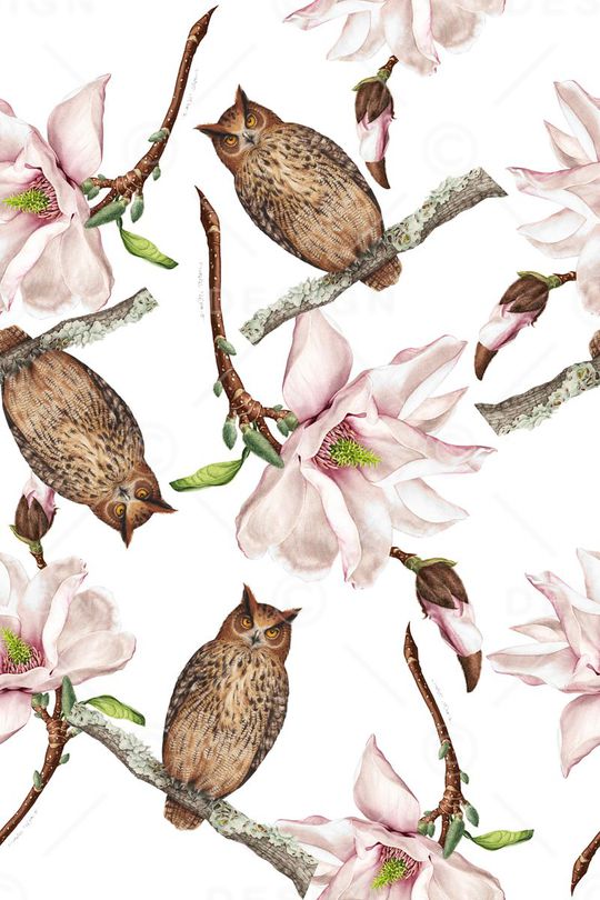 猫头鹰、花卉印花华亿平台图片