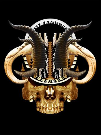 骷髅头印花华亿平台图片