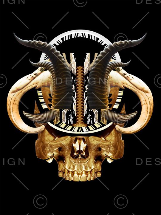 骷髅头印花华亿平台图片