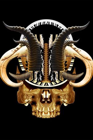 骷髅头印花华亿平台图片