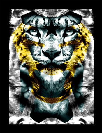 大牌印花华亿平台图片