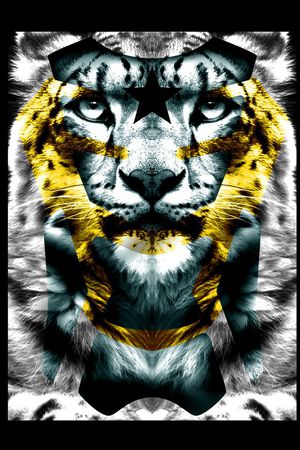 大牌印花华亿平台图片