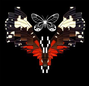 蝴蝶印花华亿平台图片