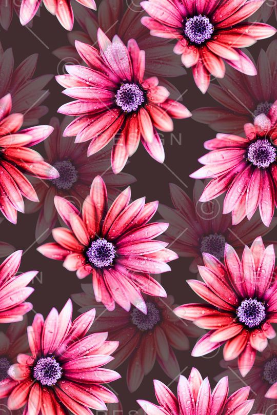 时尚潮流女装裙子服装花卉数码印花印花华亿平台图片