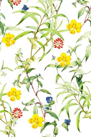 树叶印花华亿平台图片