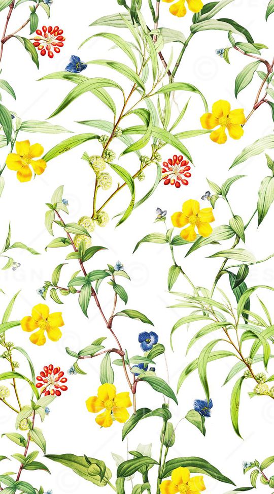 树叶印花华亿平台图片