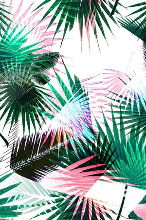 叶子印花华亿平台图片