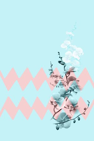 中老年女装印花华亿平台图片