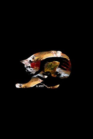 猫印花华亿平台图片