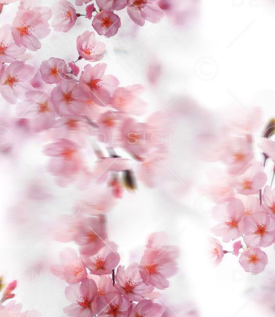 桃花印花华亿平台图片