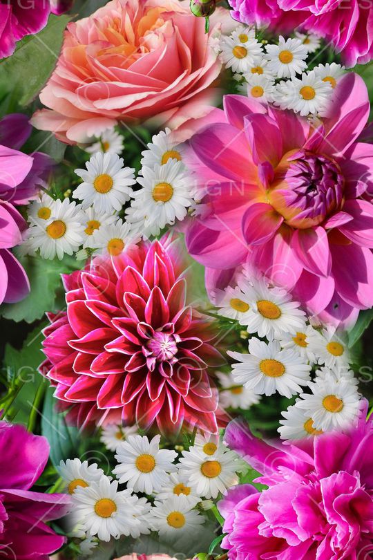 花朵印花华亿平台图片