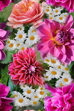 花朵印花华亿平台图片