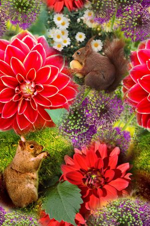 花朵印花华亿平台图片