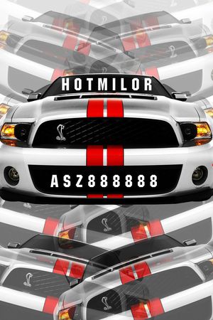 世界名车印花华亿平台图片