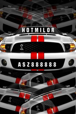 世界名车印花华亿平台图片