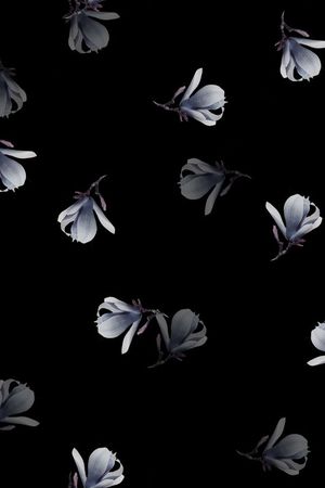 男装华亿平台印花华亿平台图片