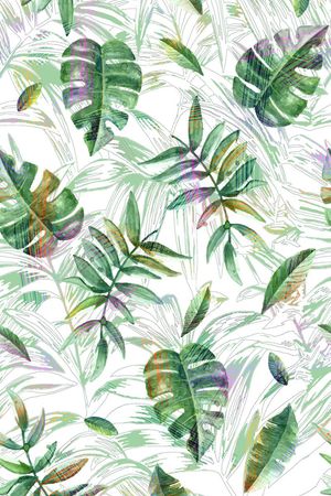 热带雨林印花华亿平台图片