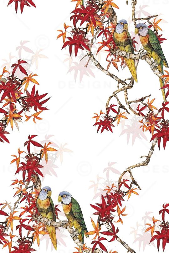 鸟印花华亿平台图片