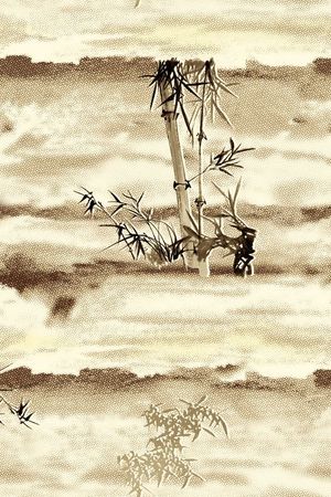 个性印花华亿平台图片