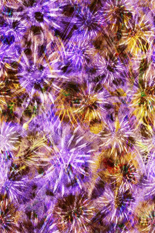 时尚花卉印花华亿平台图片