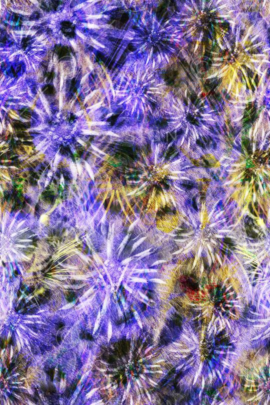 时尚花卉印花华亿平台图片