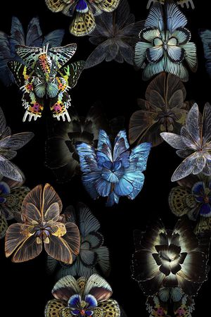 时尚抽象纹理女装外套花卉蝴蝶数码印花印花华亿平台图片