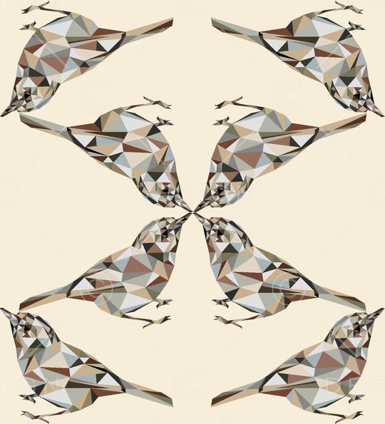 动物印花华亿平台图片