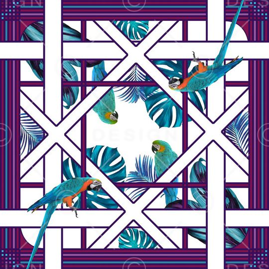 鹦鹉印花华亿平台图片