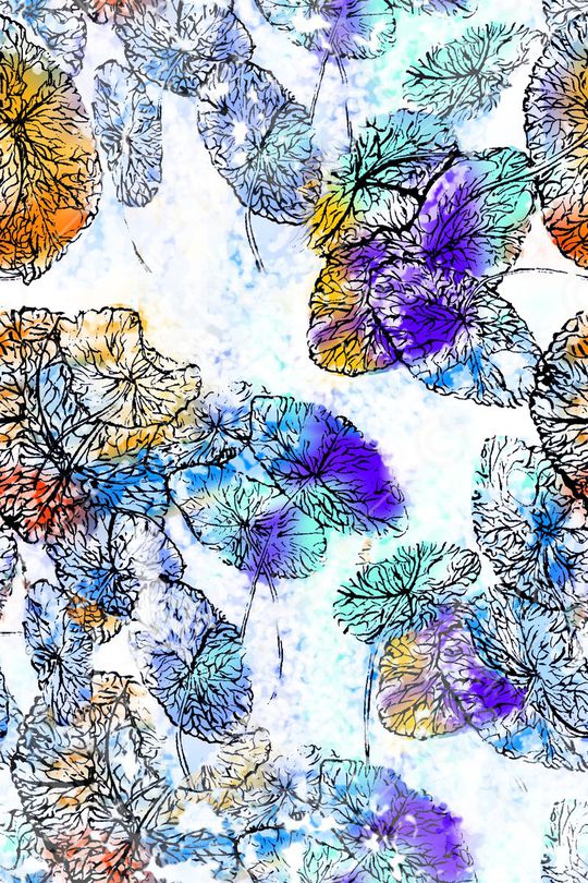 荷叶印花华亿平台图片