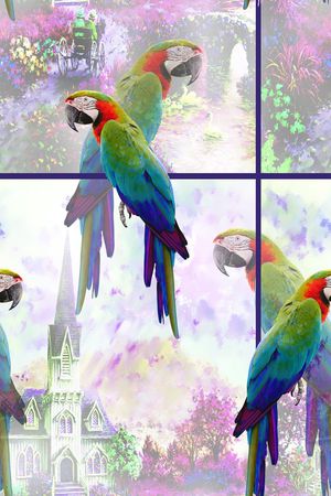 鸟印花华亿平台图片