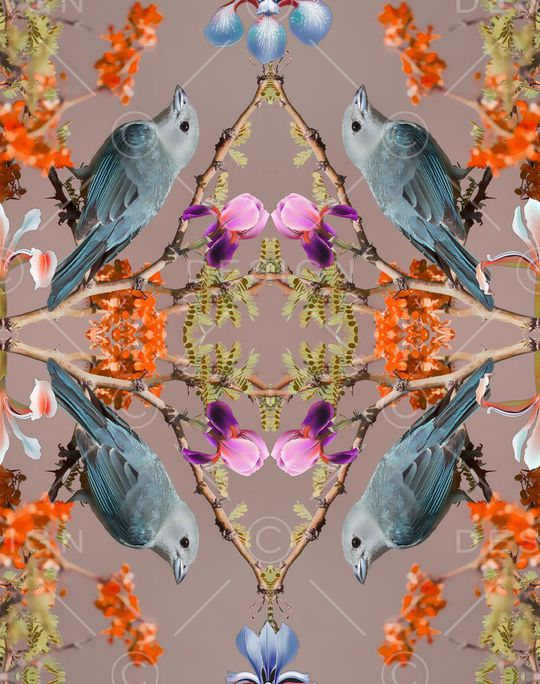 鸟印花华亿平台图片