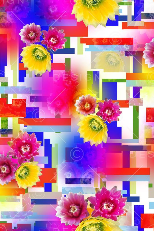 女装印花华亿平台图片