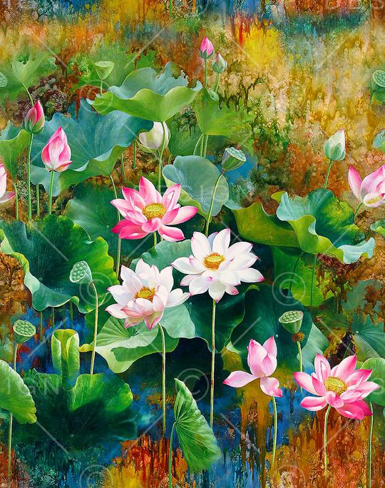 荷花印花华亿平台图片