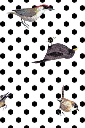 波点小鸟印花华亿平台图片