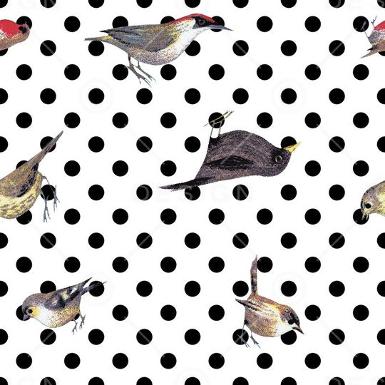 波点小鸟印花华亿平台图片